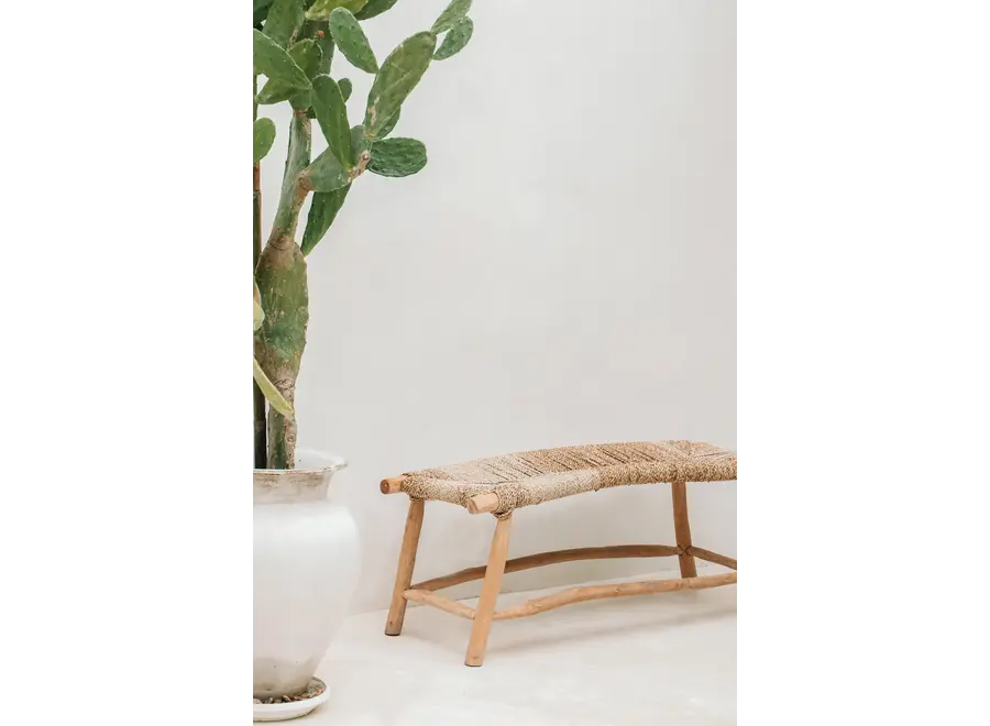 Guadalupe porto seagrass - bench