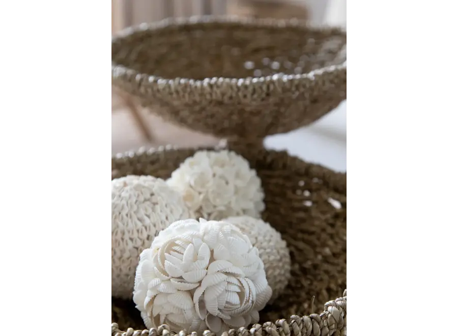 Cazorla Blooms Hanging Decor - Handcrafted Shell Balls