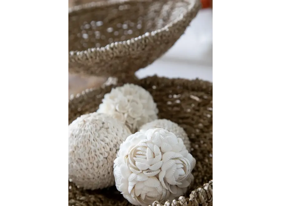 Cazorla Blooms Hanging Decor - Handcrafted Shell Balls