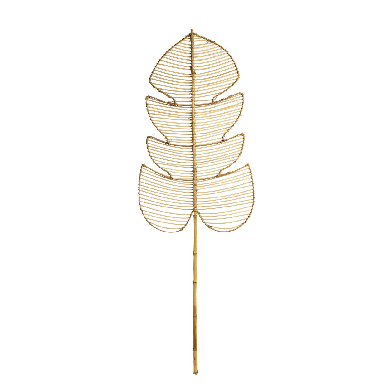 Zahara de la Sierra Leaf Display - Rattan Deco Piece